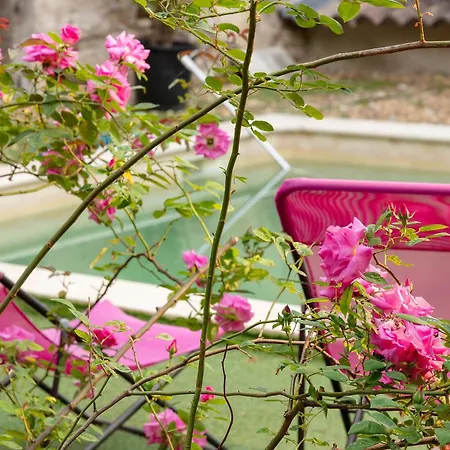 公寓 La Pergola, Piscine, Clim, Animaux 圣让杜加尔